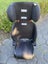 Infrasecure booster seat Carousel 1