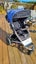 Mountain Buggy - Urban Jungle Carousel 5