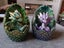 Resin Dragon in Egg x2 Carousel 1