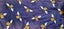 Premade Rat Hammock Set - Bees Carousel 3