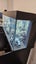 Juwel Rio 240L Large Fish Aquarium, with fish. Carousel 4