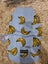 5x dog jumpers + one bath robe Carousel 5