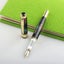 fountain pen Carousel 1