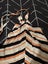 Small size womenswear bundle. Carousel 5