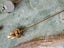 Bulk Vintage Antique Bulk Jewellery Stick Pins Carousel 11