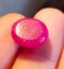 13.5 CT High Quality Oval Shaped Natural Ruby Gemstone Certified! Carousel 3