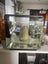 Hailea E-40 Aquarium 40 litre with filter full set up including extras Carousel 11