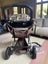Mountain Buggy Swift Carousel 3