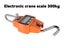 PTN NEW Crane Scales Sale Sale Sale Carousel 4