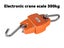 PTN NEW Crane Scales Sale Sale Sale Carousel 5