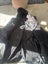 Jackets Bulk Buy - Huffer Volcom Macpac Carousel 12