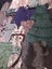Woman's dresses, velvet jacket and tops Carousel 3