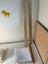 2in1: Baby Cot to Toddler Bed Carousel 6