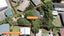 gallery view thumbnail