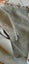 New, unused sage grey-green velvet-canvas upholstery fabric 4m Carousel 10