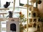 150CM Cat Tree House Scratching Post Condo Black 023 Carousel 2