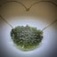 Moldavite Necklace 14k Gold Carousel 6