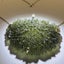 Moldavite Necklace 14k Gold Carousel 3