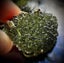 Moldavite Necklace 14k Gold Carousel 10