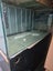 Fish Tank (400 litre tank) Carousel 1