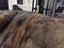 New Single Natural Brown Real NZ Possum Full Fur Throw - No Reserve! - B6375 Carousel 4