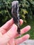 Pounamu Greenstone Nelson Jade Good Quality carving slab $1 reserve MAY DEALS Carousel 3