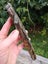Pounamu Greenstone Nelson Jade Good Quality carving slab $1 reserve MAY DEALS Carousel 6