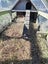 *** Extra Large Rabbit Hutch *** Carousel 4