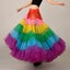 Rainbow Tutu Skirt Petticoat Tulle underskirt Carousel 10
