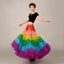 Rainbow Tutu Skirt Petticoat Tulle underskirt Carousel 12