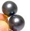 Quality 10.5 - 11mm Black Round Pearl Stud Earrings Carousel 3