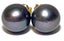 Quality 10.5 - 11mm Black Round Pearl Stud Earrings Carousel 5