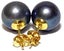 Quality 10.5 - 11mm Black Round Pearl Stud Earrings Carousel 6