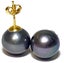Quality 10.5 - 11mm Black Round Pearl Stud Earrings Carousel 8