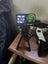 DJI osmo action 4 Carousel 3