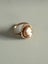 9ct Gold Cameo Ring Antique Carousel 2