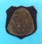 RNZ Artillery badge Carousel 2