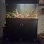 400l Fish tank with fish Carousel 2