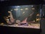 400l Fish tank with fish Carousel 7