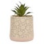Disney Home - Mickey Ceramic Planter With Faux Plant Carousel 1