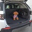 PTN NEW Dog Car Boot Cover Sale Sale Carousel 13