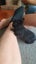 Baby Netherland Dwarf rabbits, pick up Helensville. Ready 26 May Carousel 4