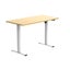 Loctek Ergonomic Eco Office Standing Desk - 1400x700x25mm - Single Motor - Carousel 4