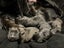 SHAR PEI X PUPPIES FOR SALE Carousel 3