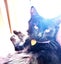 CAT RESCUE CHCH - Ready For Adoption Toodles Carousel 2