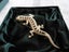 BROOCH - SPARKLY LIZARD Carousel 1