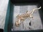 BROOCH - SPARKLY LIZARD Carousel 3