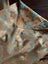 Loading Image 2 of 7