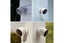 Google Nest Cam Wireless Security Camera (Outdoor or Indoor, Battery, 3 Pack), Carousel 6
