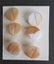 Lovely vintage Czech glass buttons [6], caramel Carousel 1